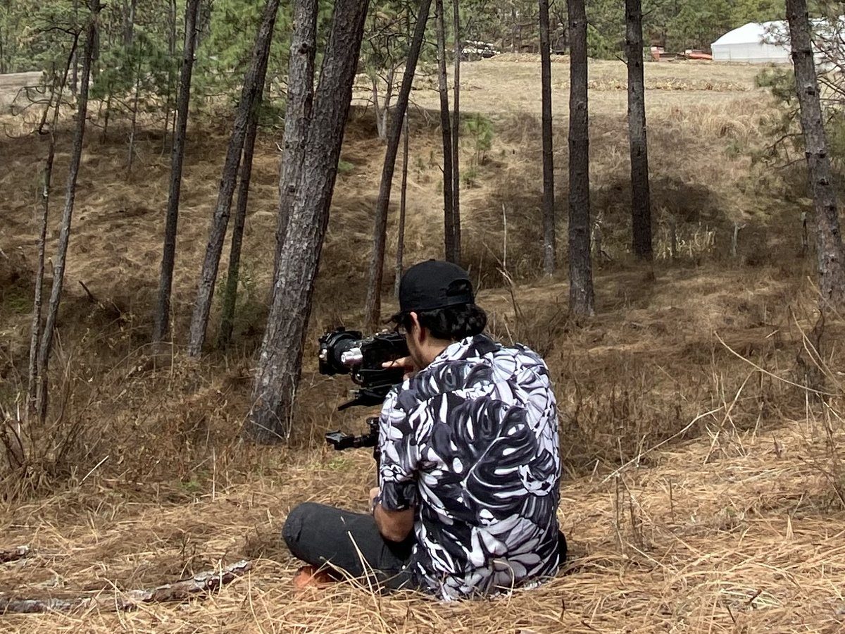 Camarógrafo sentado en un bosque de pinos, filmando a distancia